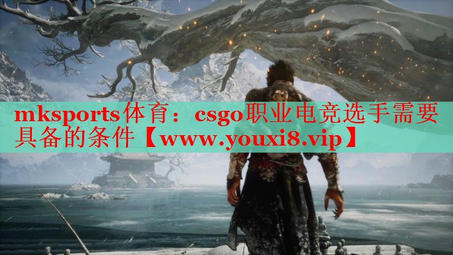 mksports体育：csgo职