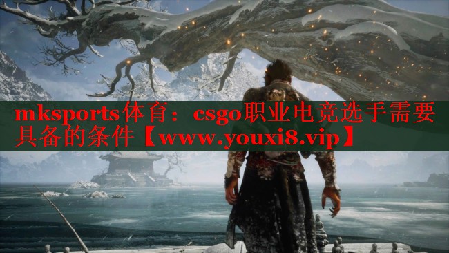 csgo职业电竞选手需要具备的条件
